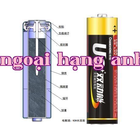 Giáo dục phổ thông: Pin