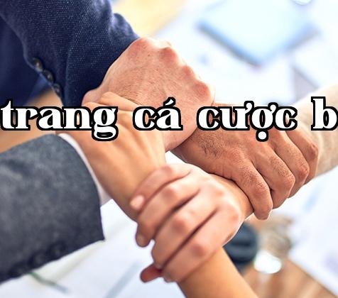 Công ty Công nghệ Năng lượng Changhong của Tứ Xuyên Công ty Công nghệ Năng lượng Changhong của Tứ Xuyên