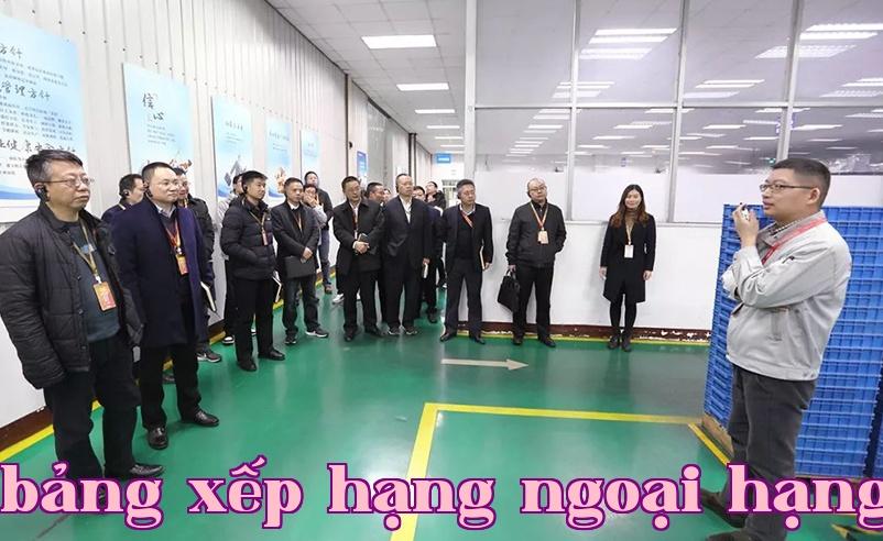 Năng lượng New Power Changhong