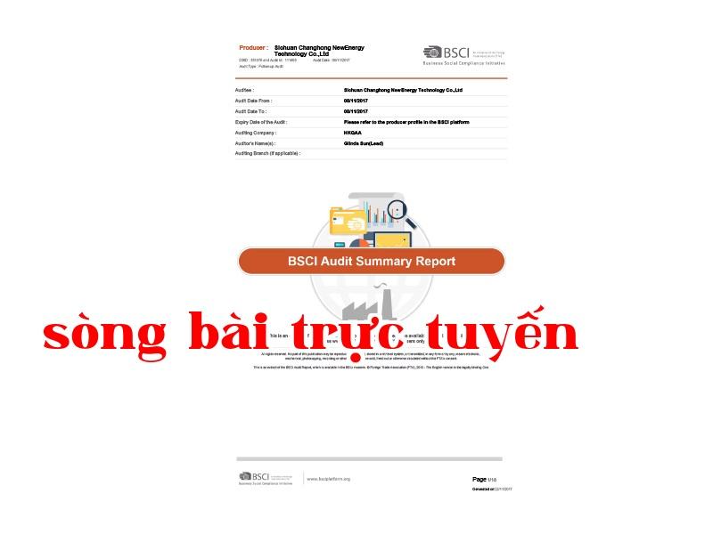 SummaryAuditReport2017 