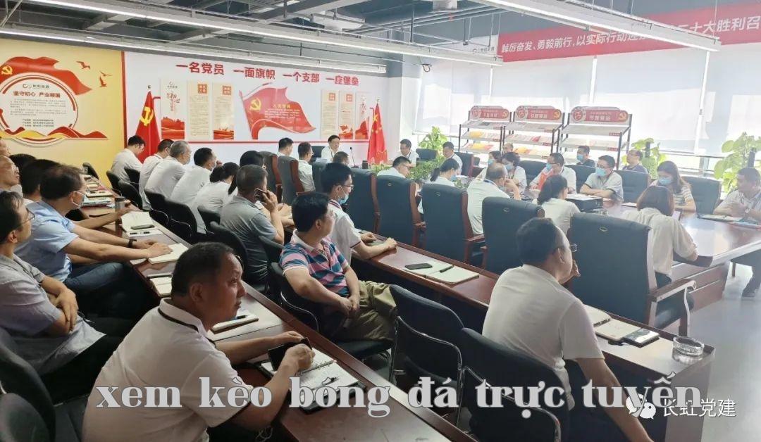 [Công tác xây dựng cơ sở] Đại hội kỷ niệm và khen thưởng nhân dịp sinh nhật Đảng lần thứ 101, Tổng chi bộ Công ty Năng lượng Mới tổ chức như thế nào