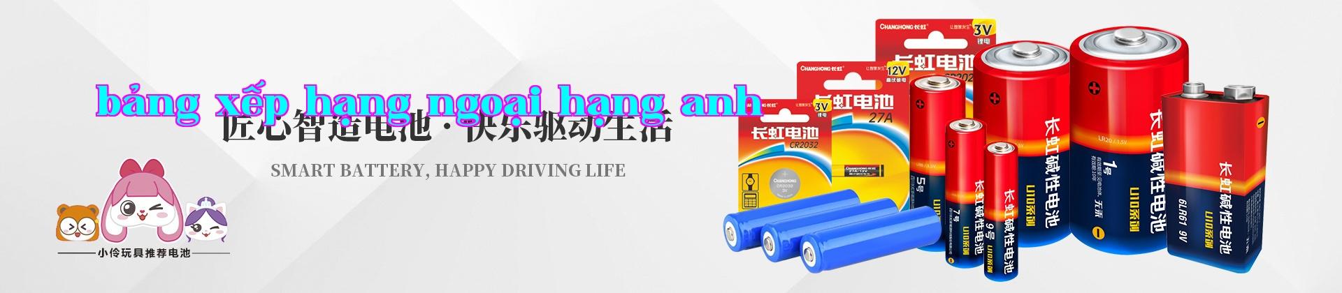 Công ty Công nghệ Năng lượng Changhong của Tứ Xuyên