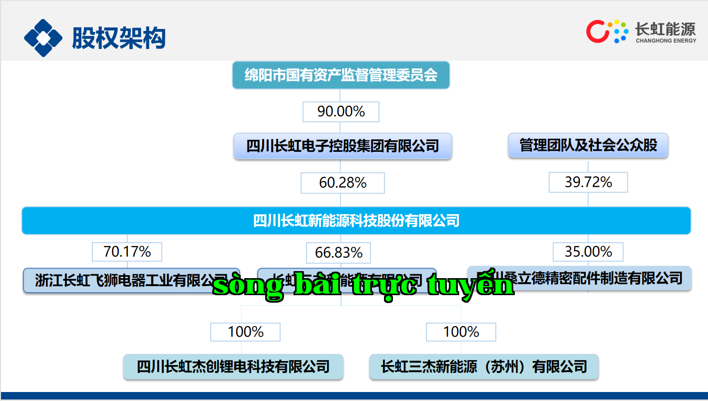 Cơ cấu cổ phần của công ty