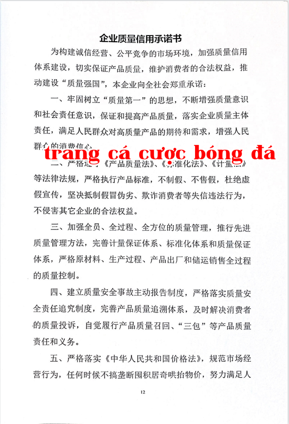 Cam kết tín dụng chất lượng của doanh nghiệp