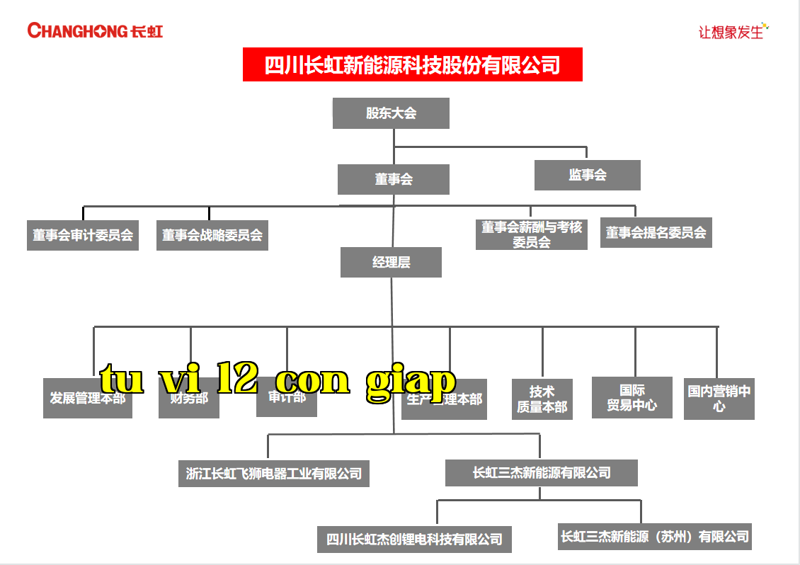 Sơ đồ tổ chức của Công ty Cổ phần Công nghệ Năng lượng Trường Long Sichuan