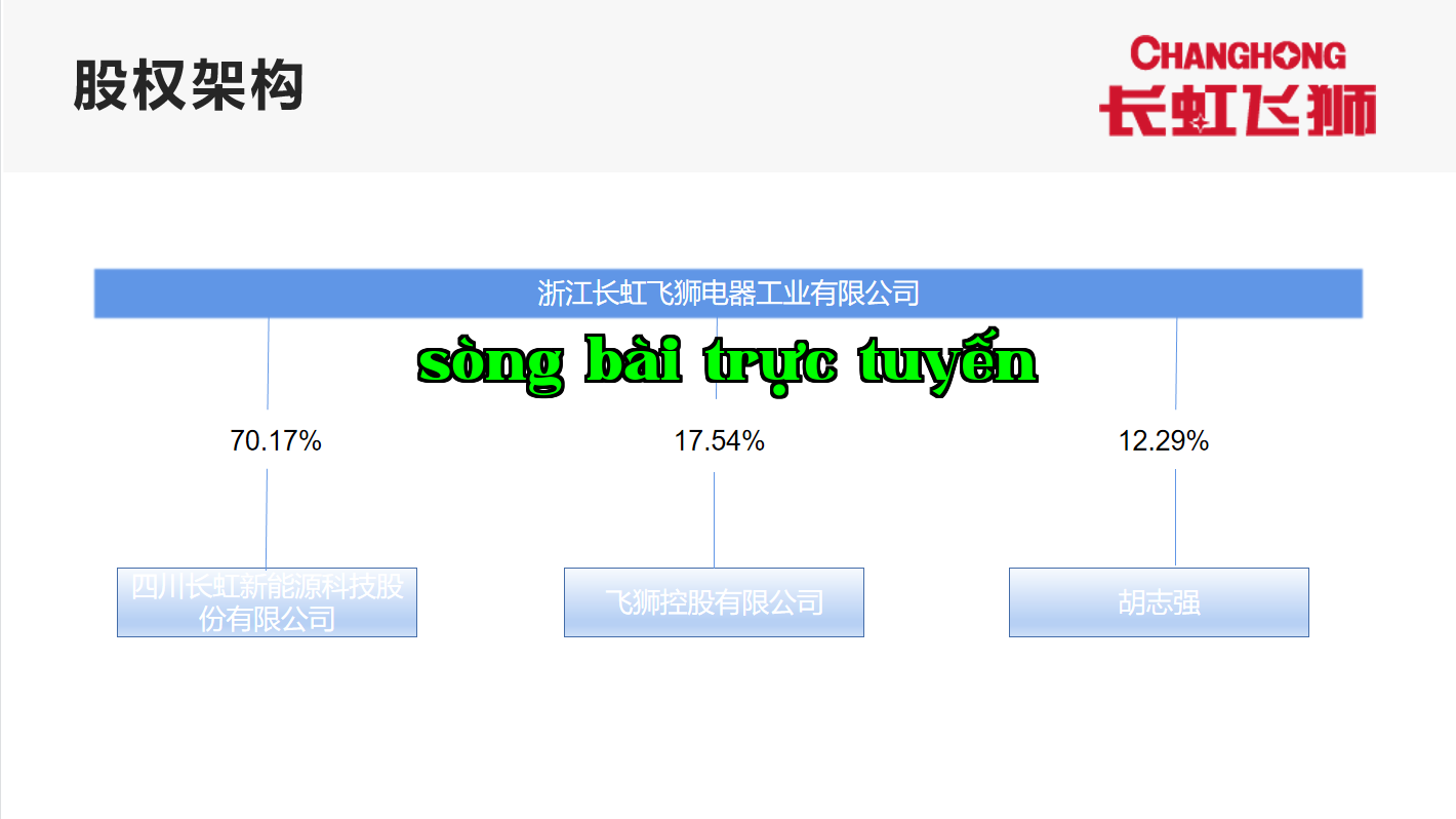 Cơ cấu cổ đông của Công ty Cổ phần Thiết bị Điện tử Trường Hồng Phi Sư Chiết Giang