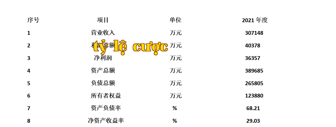 Tình hình tài chính chính và kết quả kinh doanh của Công ty Cổ phần Năng lượng Tân Hồng Sichuan năm 2021